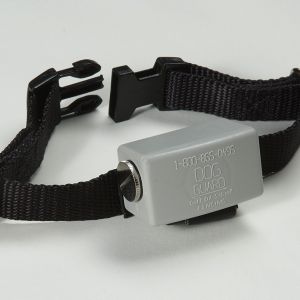 Dog guard collar best sale
